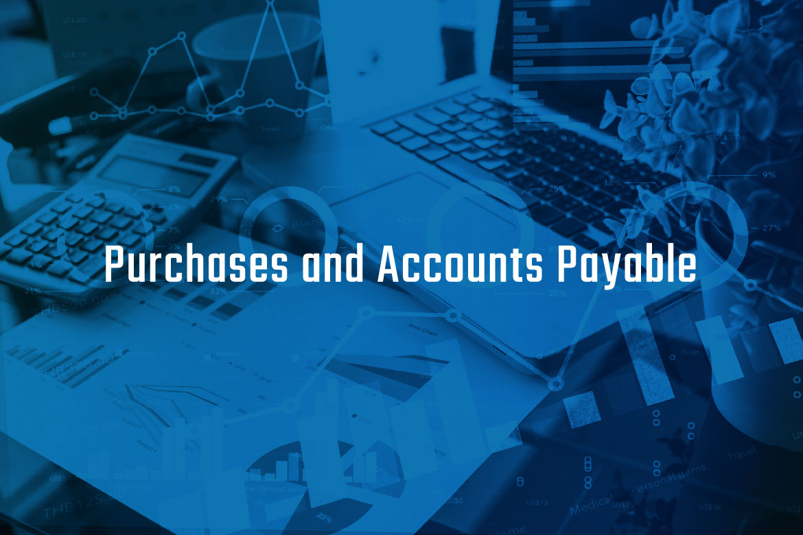 Purchases and Accounts Payable
